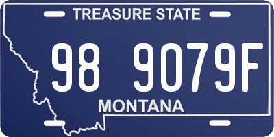 MT license plate 989079F