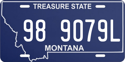 MT license plate 989079L