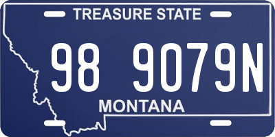 MT license plate 989079N