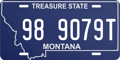 MT license plate 989079T