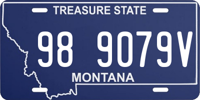 MT license plate 989079V