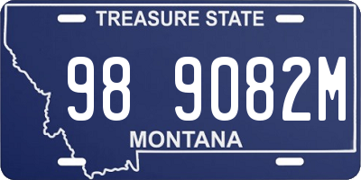 MT license plate 989082M
