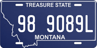 MT license plate 989089L