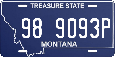 MT license plate 989093P