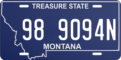 MT license plate 989094N