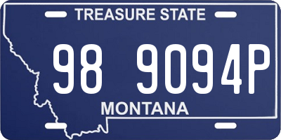 MT license plate 989094P