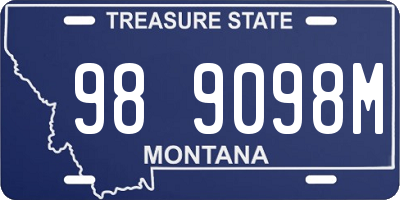 MT license plate 989098M
