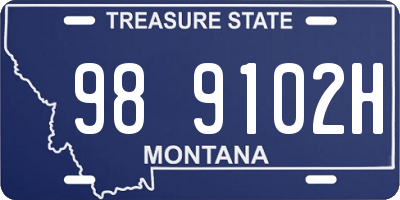 MT license plate 989102H