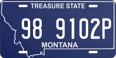 MT license plate 989102P