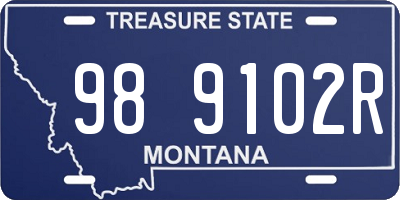 MT license plate 989102R