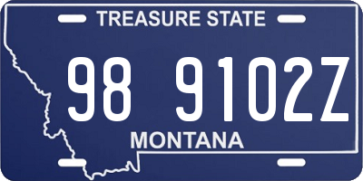 MT license plate 989102Z