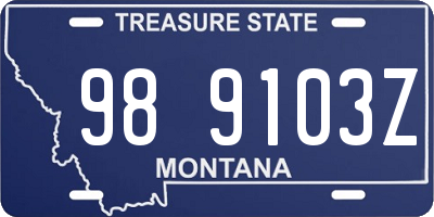 MT license plate 989103Z