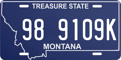 MT license plate 989109K