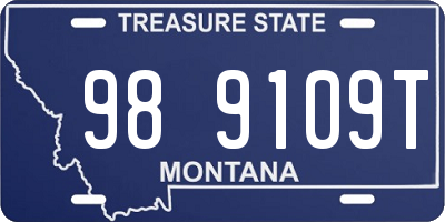 MT license plate 989109T
