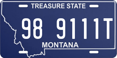 MT license plate 989111T