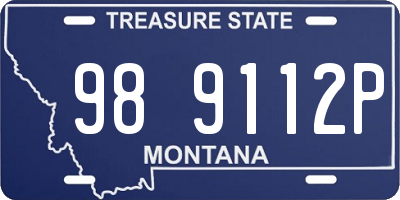 MT license plate 989112P