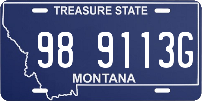 MT license plate 989113G
