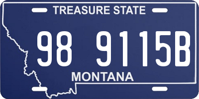 MT license plate 989115B