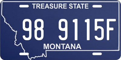 MT license plate 989115F