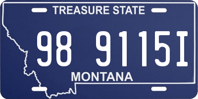 MT license plate 989115I