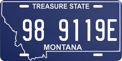 MT license plate 989119E