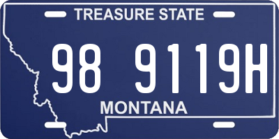 MT license plate 989119H