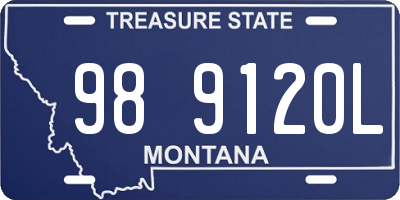 MT license plate 989120L