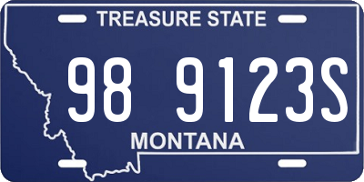 MT license plate 989123S