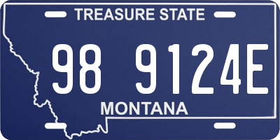 MT license plate 989124E