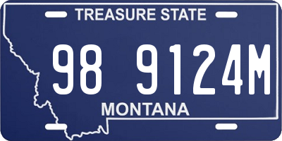 MT license plate 989124M