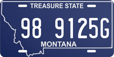 MT license plate 989125G