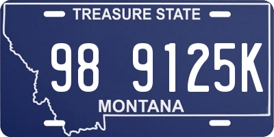 MT license plate 989125K