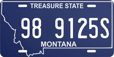 MT license plate 989125S