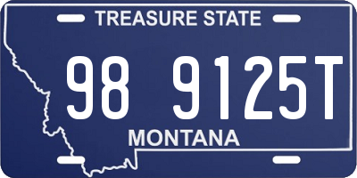 MT license plate 989125T