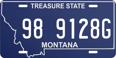 MT license plate 989128G