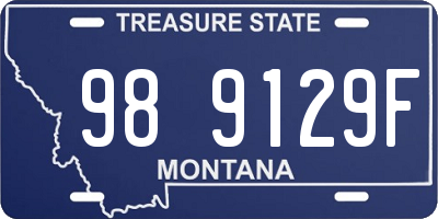 MT license plate 989129F