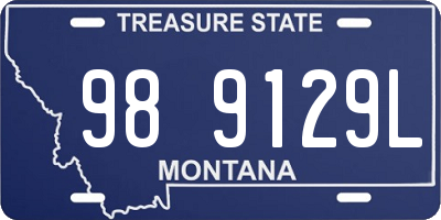 MT license plate 989129L