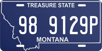MT license plate 989129P