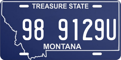 MT license plate 989129U