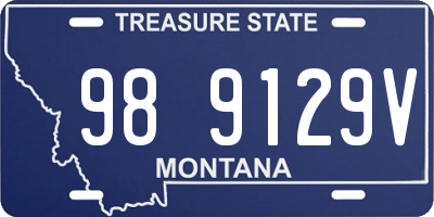 MT license plate 989129V