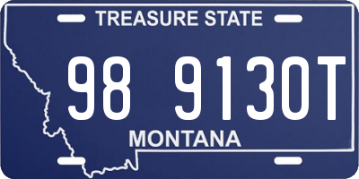 MT license plate 989130T