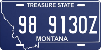 MT license plate 989130Z