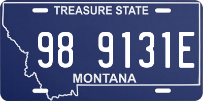 MT license plate 989131E