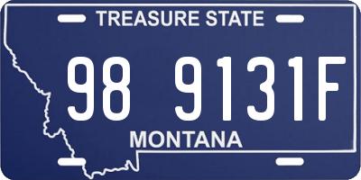 MT license plate 989131F