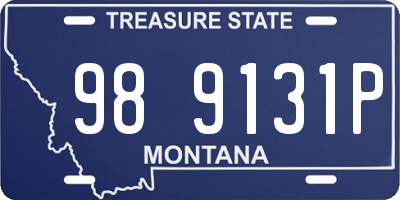 MT license plate 989131P