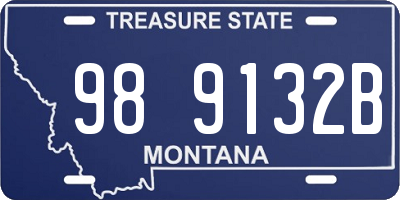 MT license plate 989132B