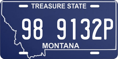 MT license plate 989132P