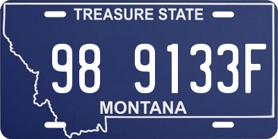 MT license plate 989133F