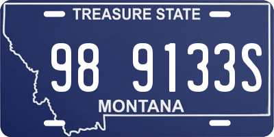 MT license plate 989133S