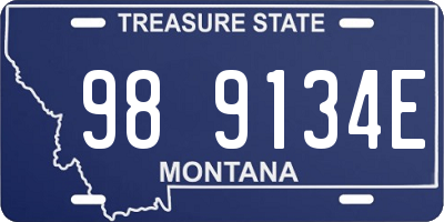 MT license plate 989134E